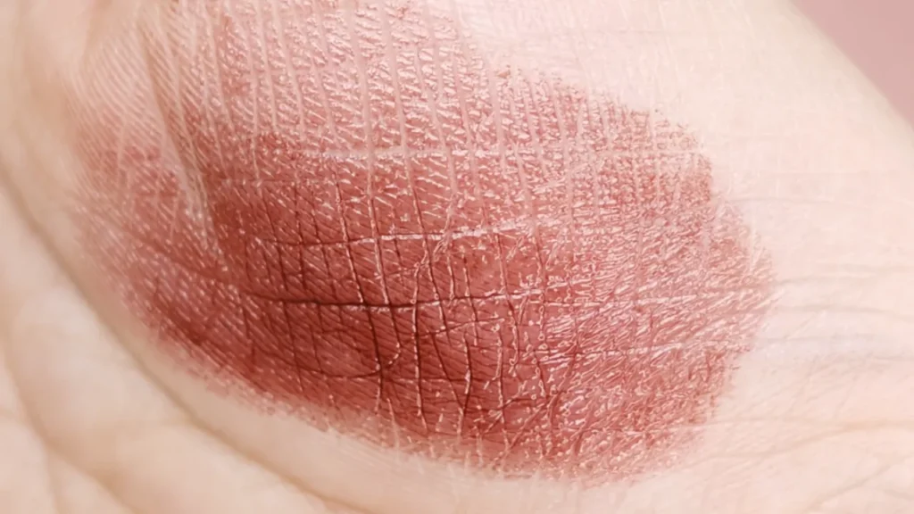 KATE リップモンスター EX-10 狂気の怒号 スウォッチ 色見本 ブリックブラウン 茶色